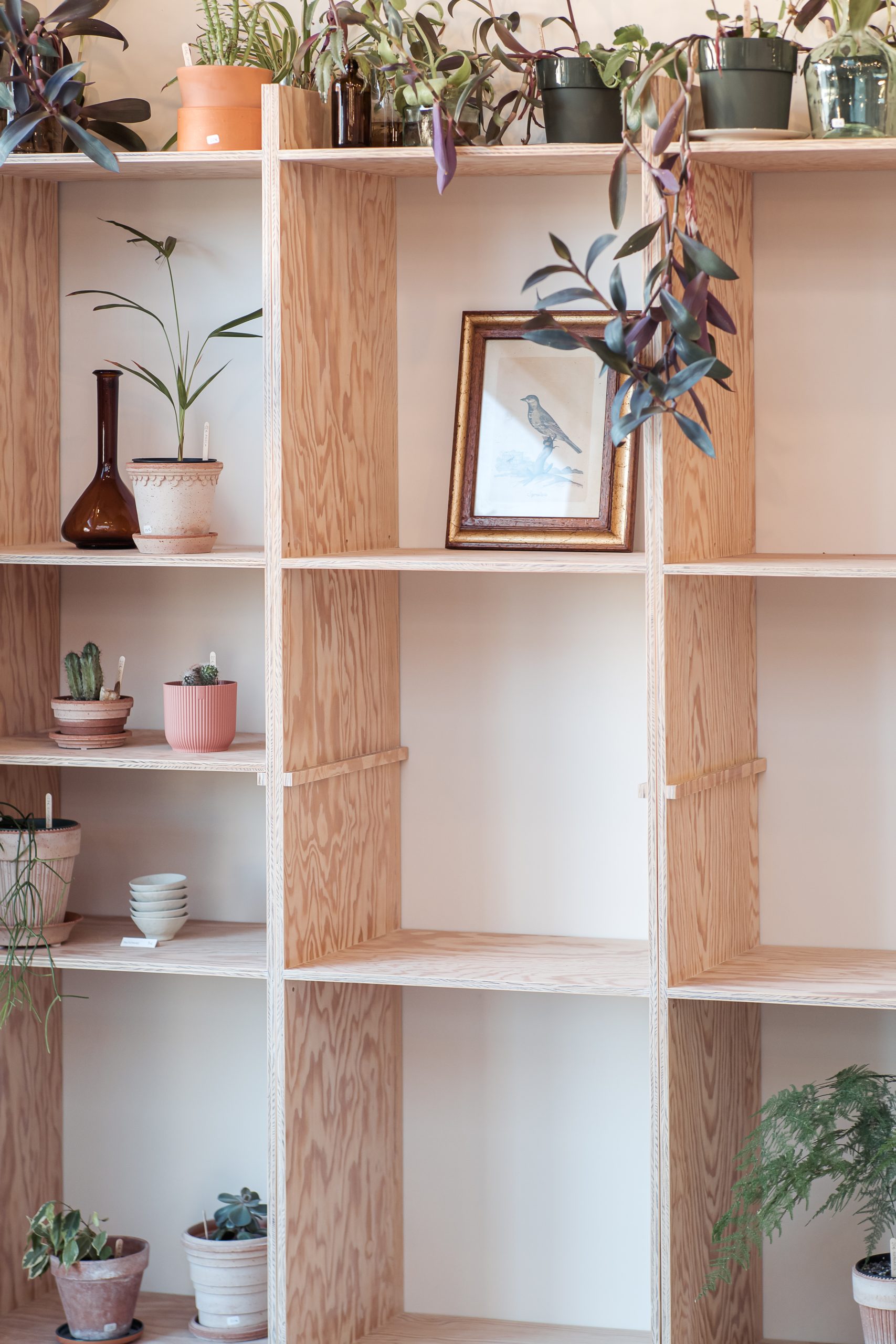 Allan Felisberto-agencement-mobilier-commerce-boutique-nantes