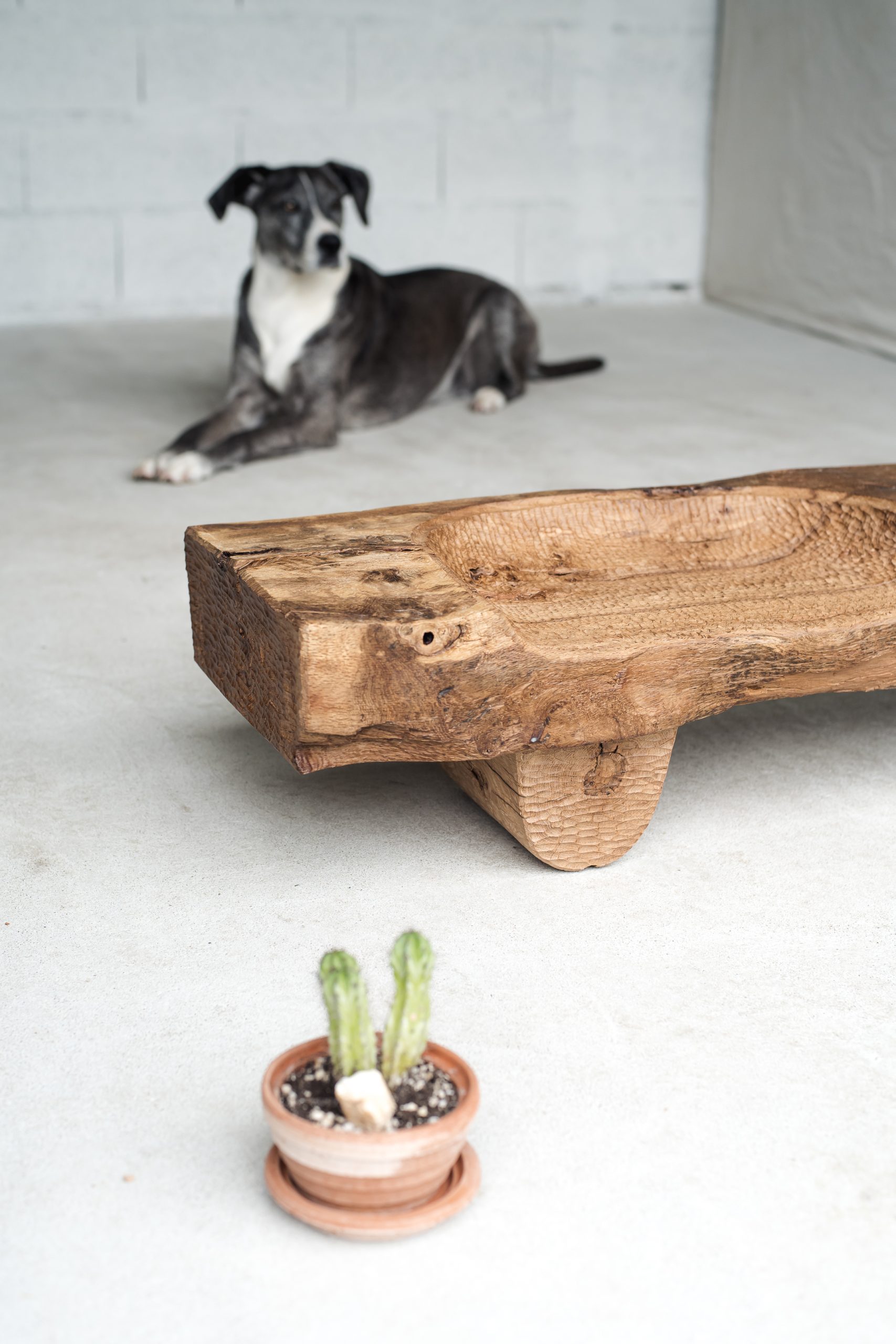 Allan Felisberto-ebeniste-mobilier-sculpture-montaigu-vendée